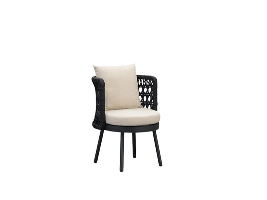 Dining Chair (H-9856A-2)